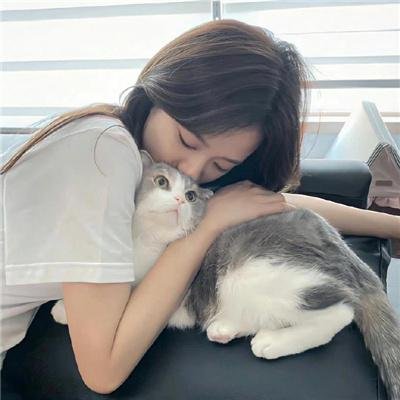 请多多关照